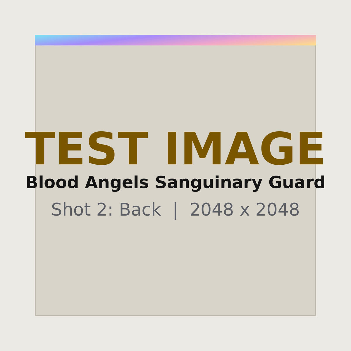Blood Angels Sanguinary Guard - back