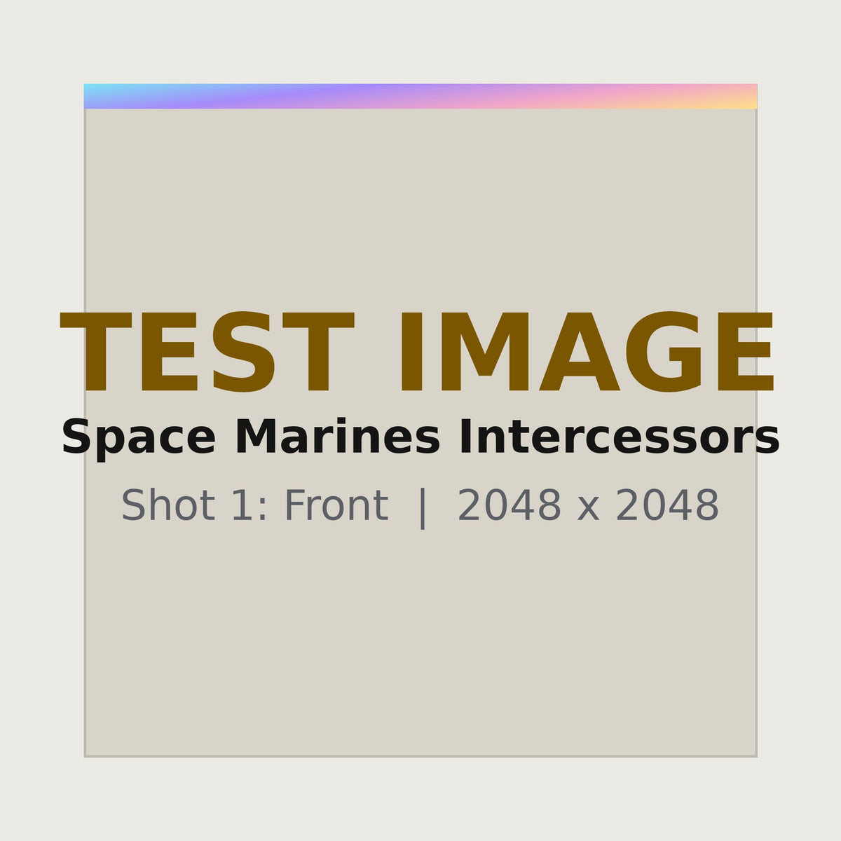 Space Marines Intercessors - front